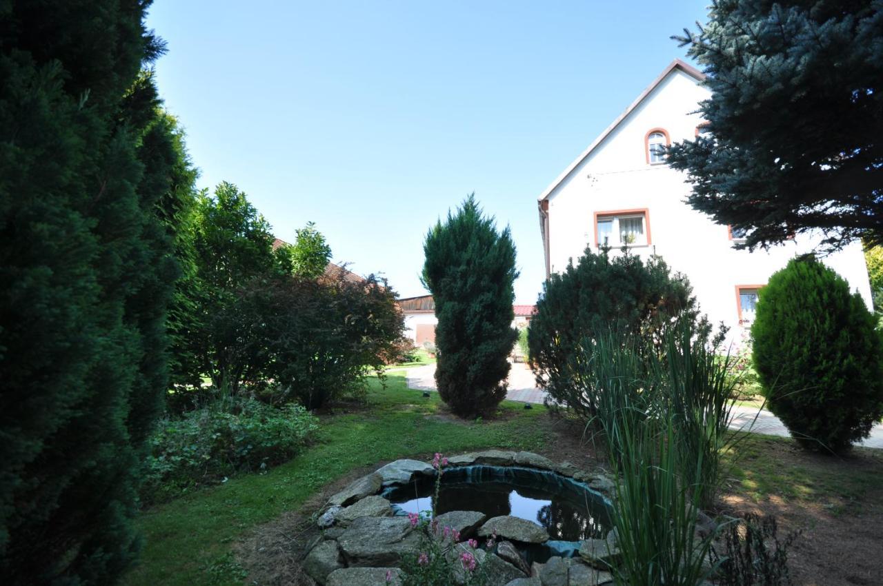 Agroturystyka Nad Strumykiem Löschney Exterior foto
