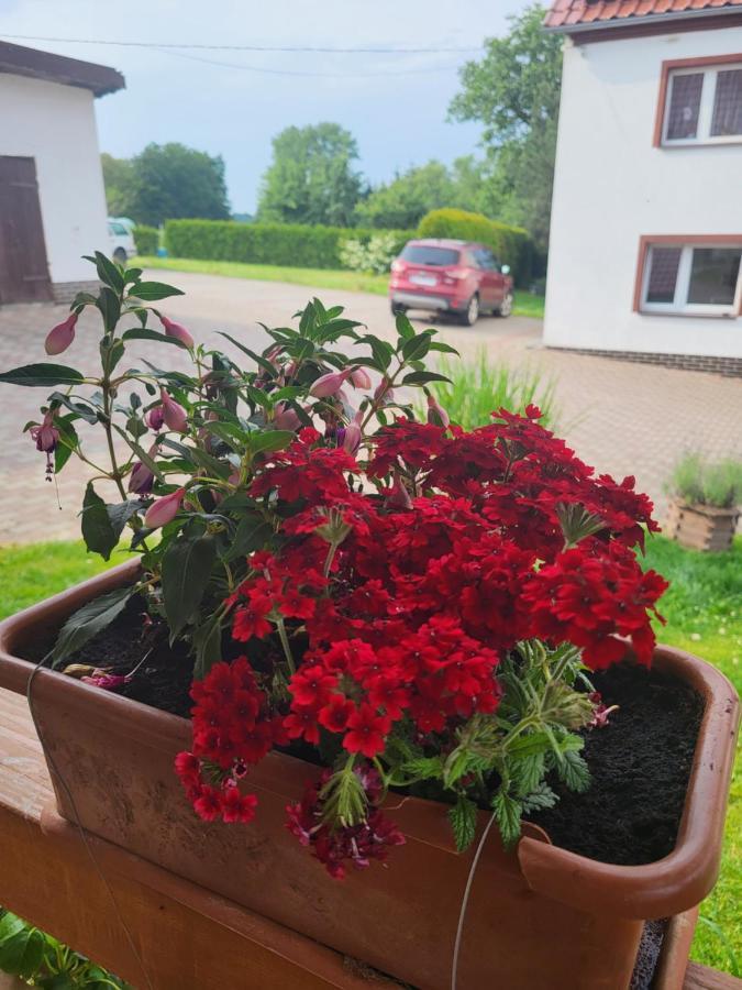 Agroturystyka Nad Strumykiem Löschney Exterior foto
