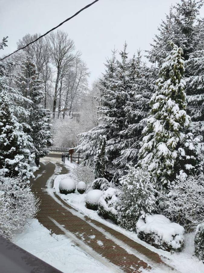 Agroturystyka Nad Strumykiem Löschney Exterior foto
