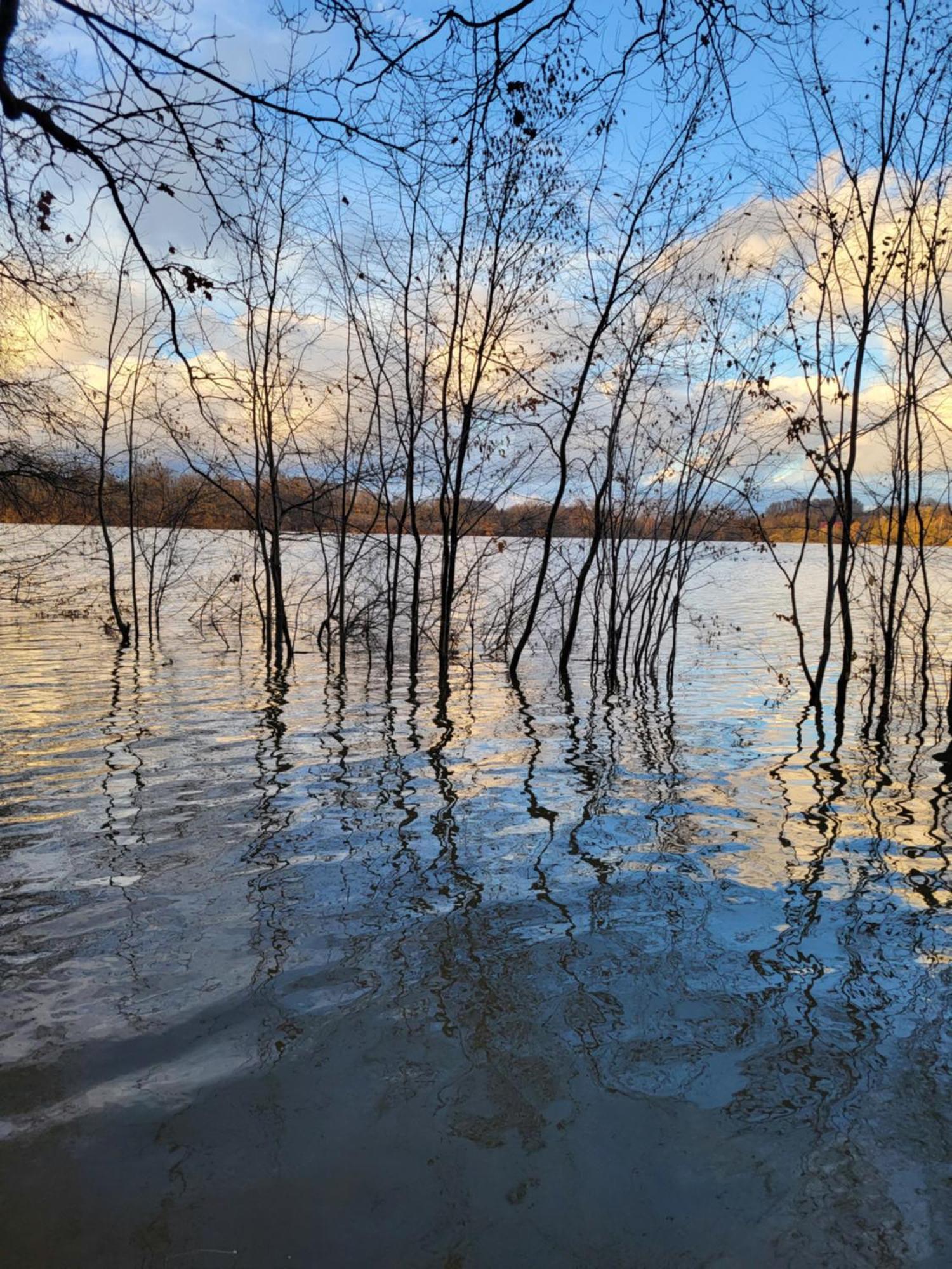 Agroturystyka Nad Strumykiem Löschney Exterior foto