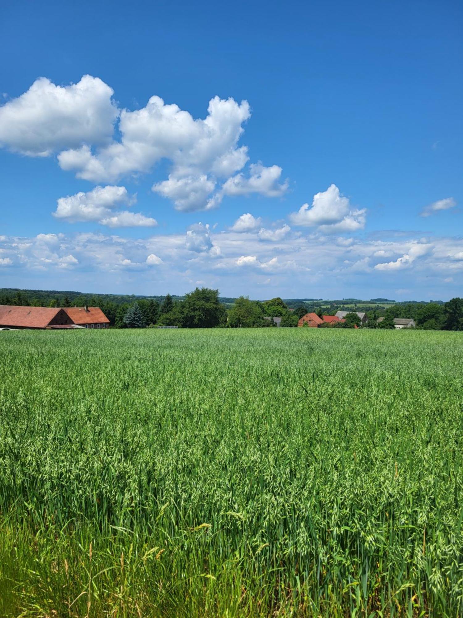Agroturystyka Nad Strumykiem Löschney Exterior foto