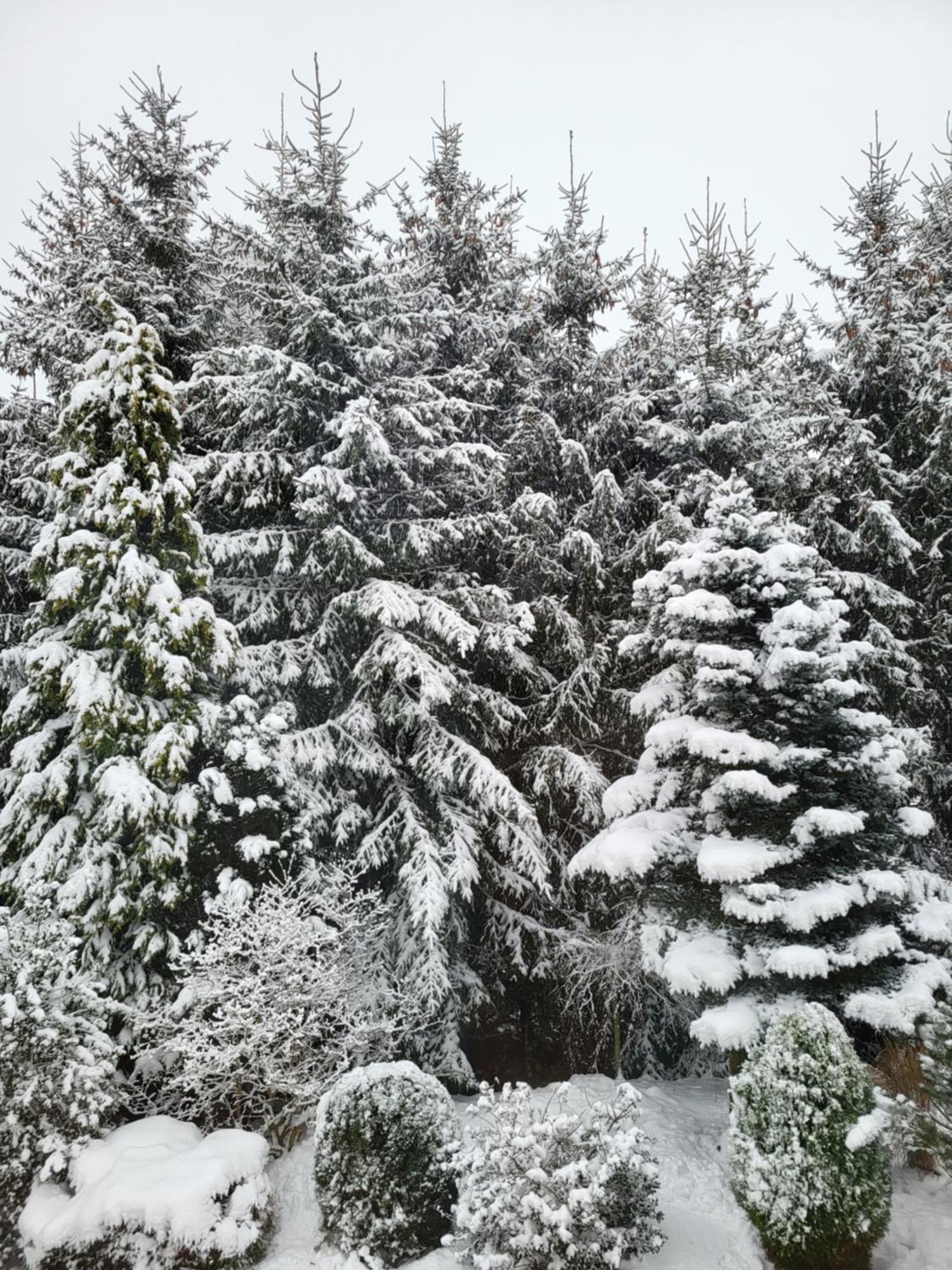 Agroturystyka Nad Strumykiem Löschney Exterior foto